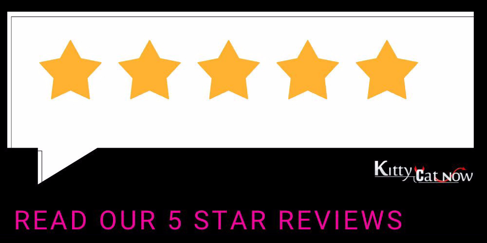 Kitty Cat Now New Orleans Reviews