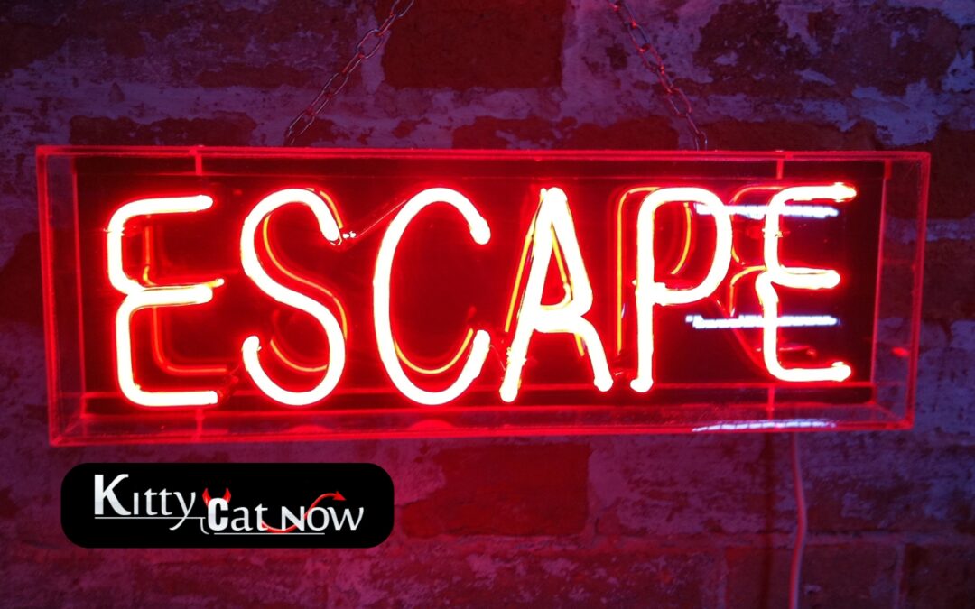 Escape the Ordinary: How to Throw a Bachelor Party He’ll Never Forget in New Orleans
