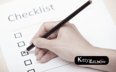 New Orleans Bachelor Party Planning Checklist: Fall Edition