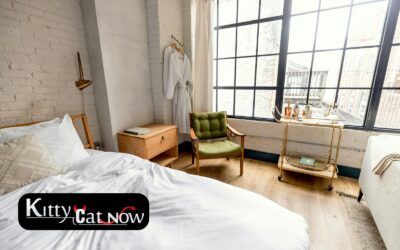 Planning a Private Airbnb Party with Strippers in New Orleans