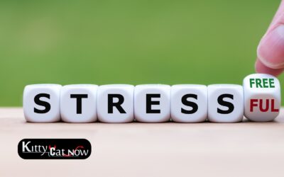 Hosting Private Party Entertainment at Home in New Orleans: A Stress-Free Guide