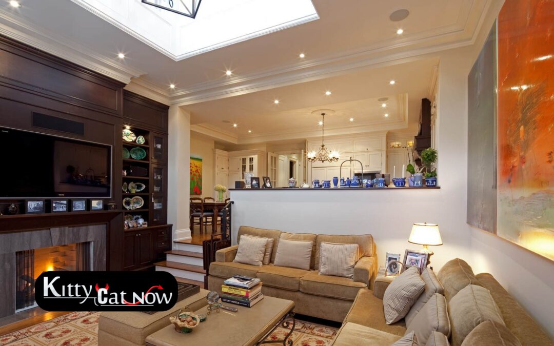 Transforming Your Living Room into a VIP Lounge in New Orleans