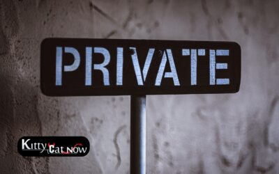 Why Private Party Entertainment Beats the Club Scene in New Orleans