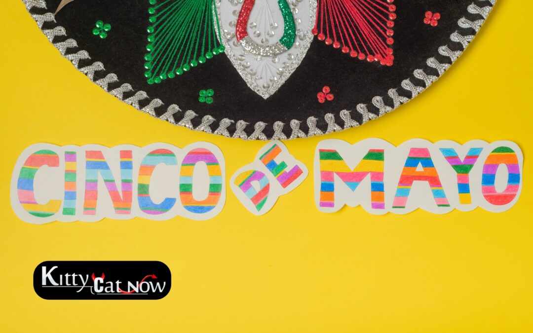 Cinco de Mayo Party Ideas in New Orleans: Tacos, Tequila & Private Strippers
