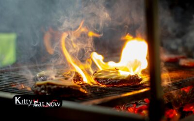 Memorial Day Party Ideas in New Orleans: BBQ, Private Entertainment & VIP Vibes
