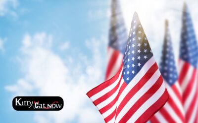 Memorial Day Party Ideas in New Orleans with Strippers