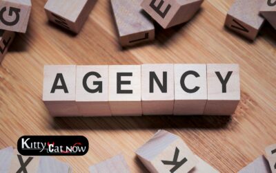 How to Choose a Legit Stripper Agency in New Orleans