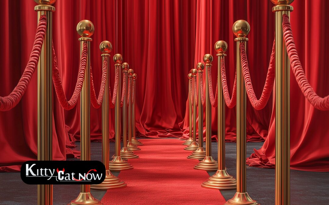 Why Booking Strippers in New Orleans Creates a VIP Experience