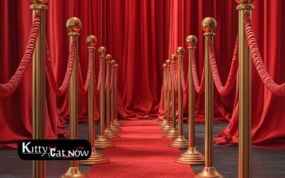 Why Booking Strippers in New Orleans Creates a VIP Experience