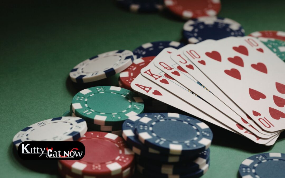 Poker Night Upgrade: Private Entertainment for Your New Orleans Home Game