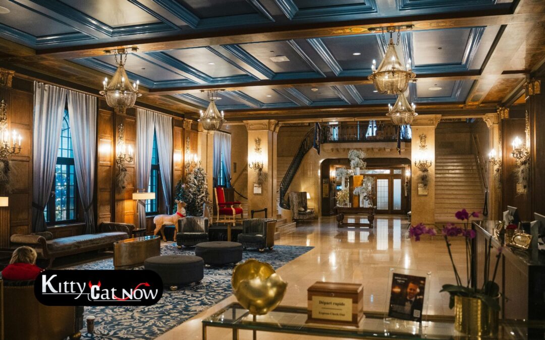 Hotel Suite vs. House Rental: Where to Host Your New Orleans Bachelor Party