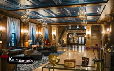 Hotel Suite vs. House Rental: Where to Host Your New Orleans Bachelor Party